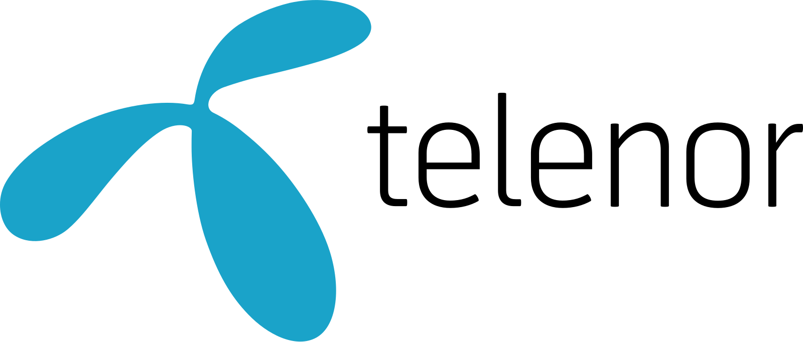 Fiber Internet 1000 Mbit