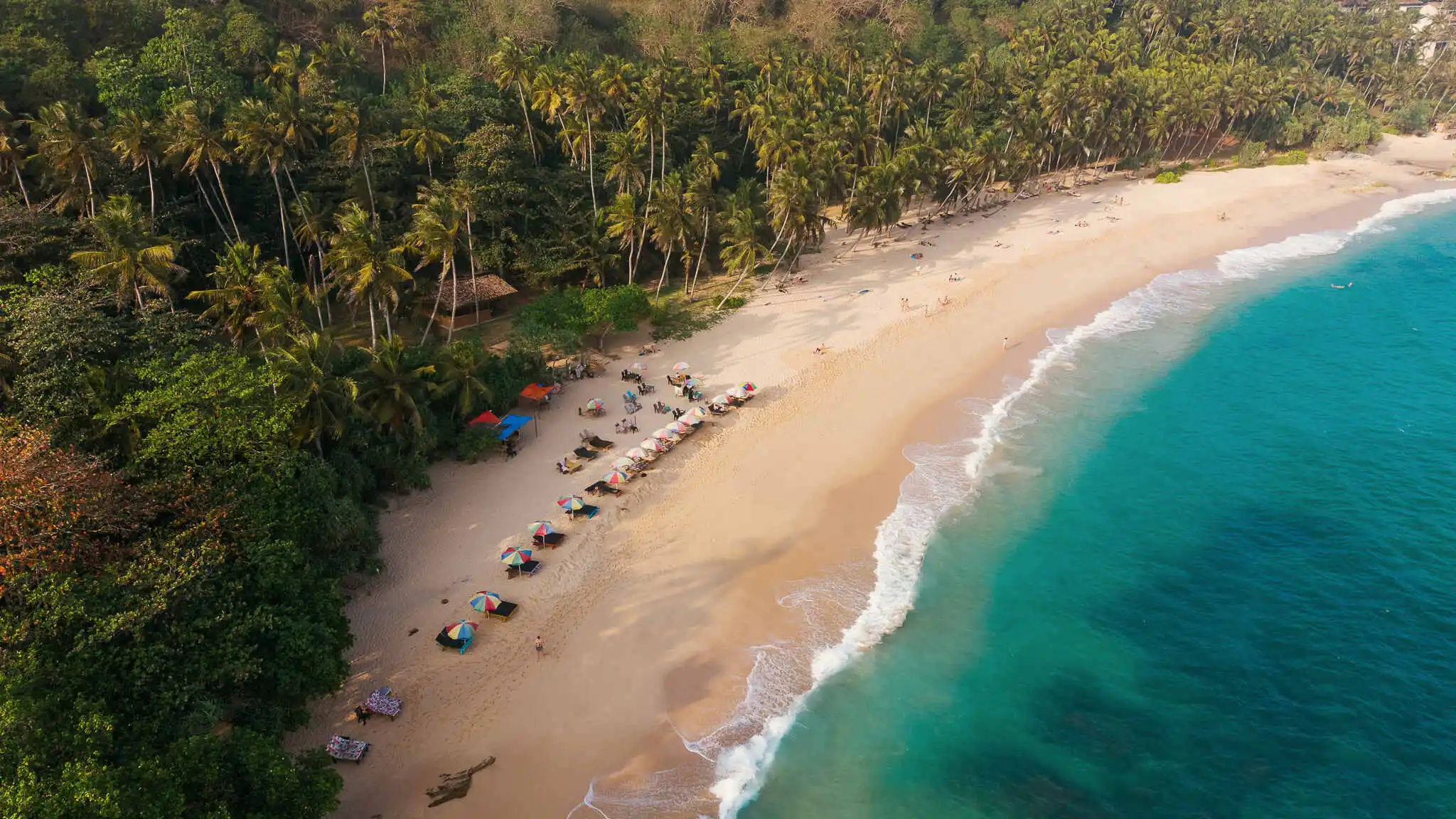 Palm-lined tropical beach in Sri Lanka