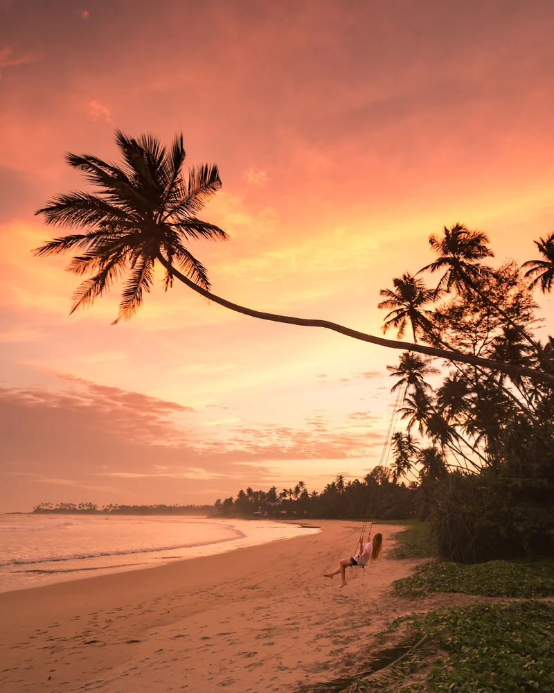 Palm trees at a tropical Sri Lankan beach