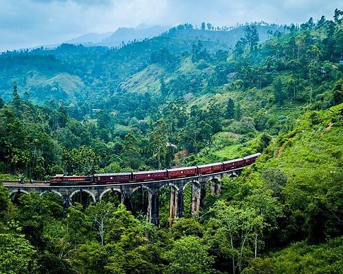 Train travelling through the Sri Lankan countryside